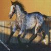 Appaloosa Horse diamond painting