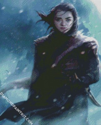 Arya Stark Art diamond painting