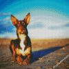 Australian Kelpie Dog Animal diamond painting