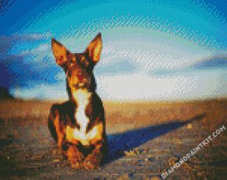 Australian Kelpie Dog Animal diamond painting