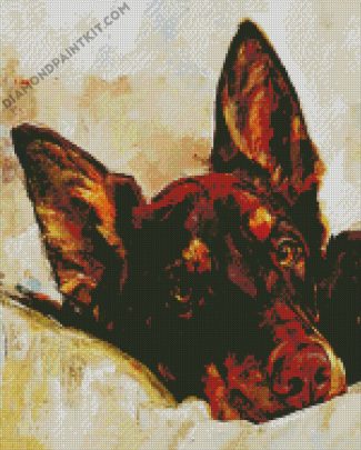 Australian Kelpie Dog Art diamond painting