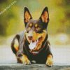 Australian Kelpie diamond painting