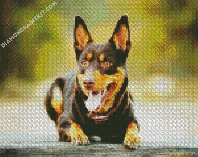 Australian Kelpie diamond painting