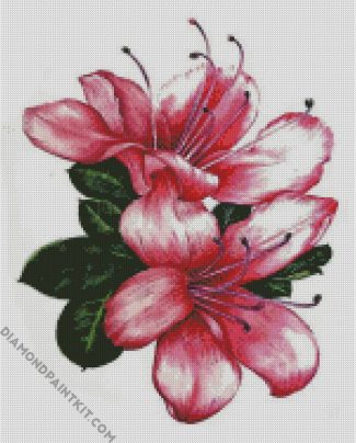 Azaleas Flowers Art diamond painting