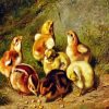 Baby Chicks diamond painting