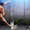 Baki The Grappler Fighting Mantis diamond painting