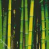 Bamboo Plant diamond painting