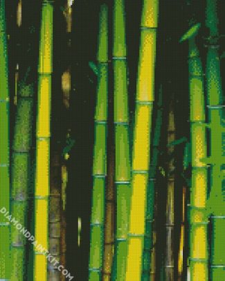 Bamboo Plant diamond painting