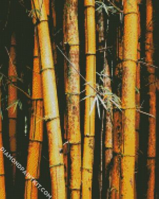 Bamboo Trees diamond painting