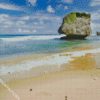 Barbados Beach Rock diamond painting