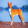 Basenji Animal diamond painting