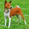 Basenji Dog Animal diamond painting