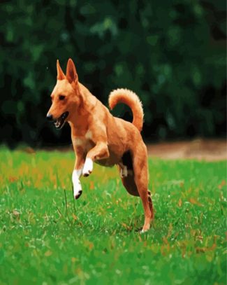 Basenji Dog Animal diamond painting