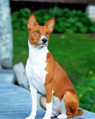 Basenji Dog diamond painting