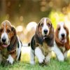 Basset Hound Puppies Dogs diamond painting