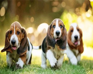 Basset Hound Puppies Dogs diamond painting