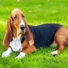 Basset Hound diamond painting