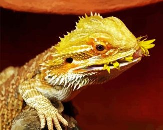 Bearded Dragon Lizard Eating diamond painting