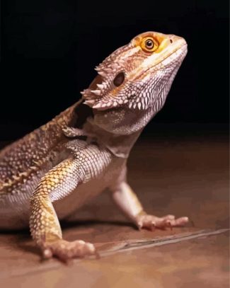 Bearded Dragon Lizard diamond painting