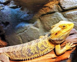 Bearded Dragon Reptile diamond painting