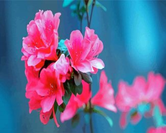 Beautiful Pink Azaleas diamond painting