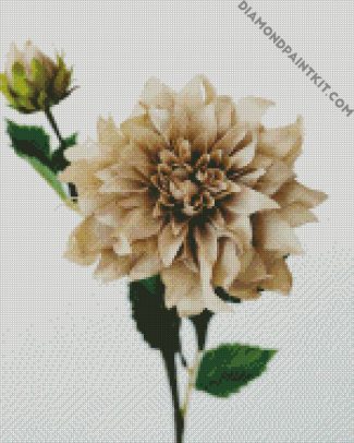 Beige Flower diamond painting