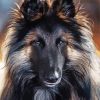 Belgian Tervuren Dog diamond painting