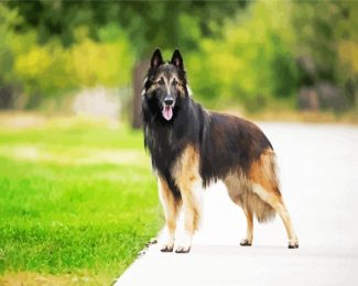 Belgian Tervuren diamond painting