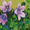 Bellflower Wildflower diamond painting