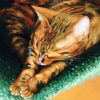 Bengal Cat Art diamond painting