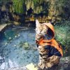 Bengal Cat With Raincoat diamond painting