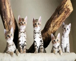 Bengal Kitties diamond painting