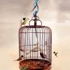 Birds Cage diamond painting