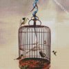 Birds Cage diamond painting