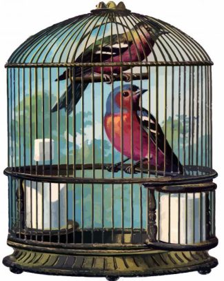 Birds In Cage diamond painting