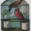 Birds In Cage diamond painting