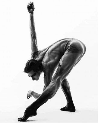 Black And White Ballerino diamond painting