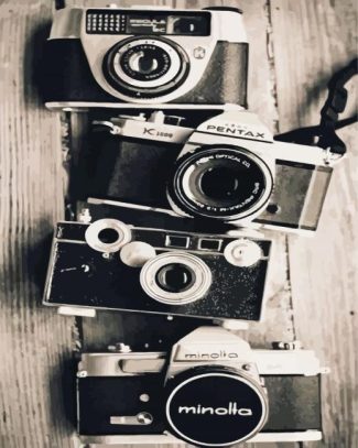 Black And White Cameras diamond painting