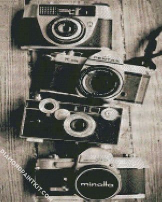 Black And White Cameras diamond painting