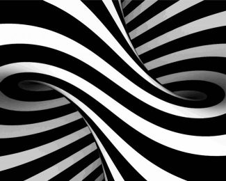 Black And White Illusion diamond painting