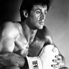 Black And White Rocky Balboa diamond painting