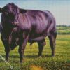 Black Angus Bull diamond painting