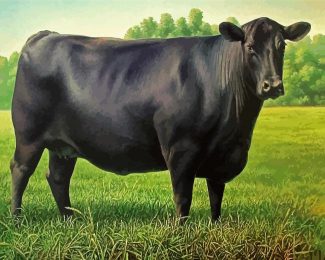 Black Angus Cattle diamond painting