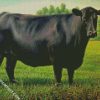 Black Angus Cattle diamond painting