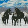 Black Appaloosa Family diamond painting