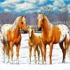 Blonde Appaloosa Horses diamond painting