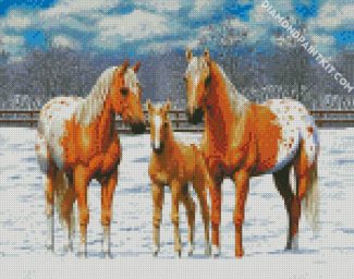 Blonde Appaloosa Horses diamond painting