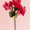 Blooming Pink Bougainvillea diamond painting