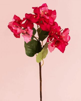 Blooming Pink Bougainvillea diamond painting