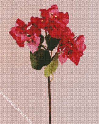 Blooming Pink Bougainvillea diamond painting